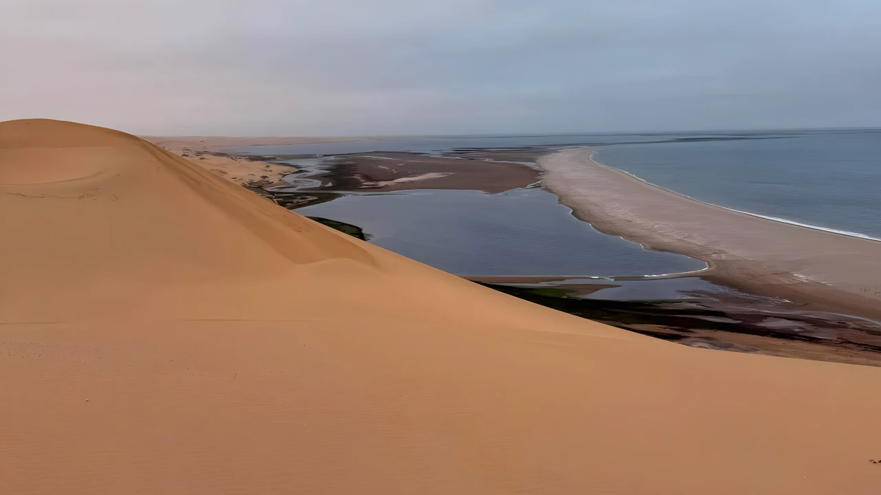 Sandwich Harbour Full Day