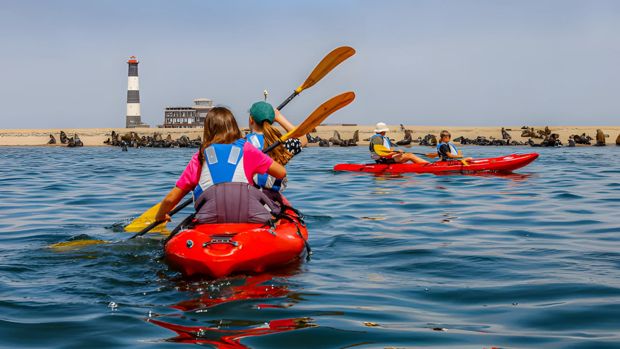 Kayak Tour
