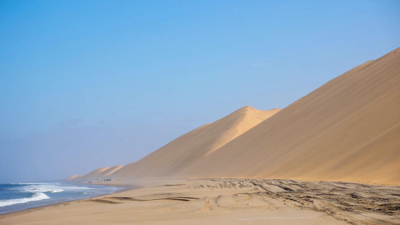 Marine and Dune Combo
