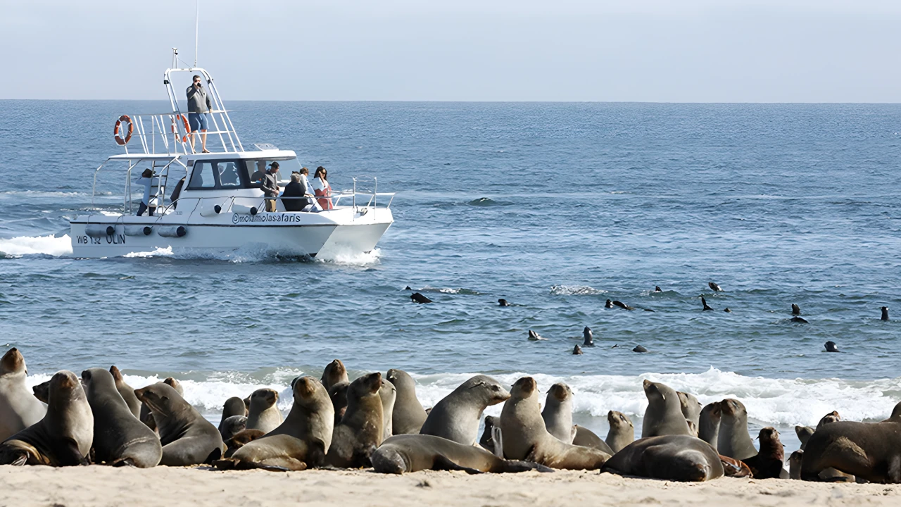 Boat Cruise